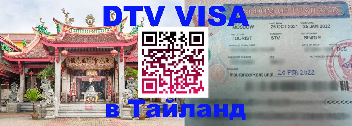 Оформление DTV визы под ключ: стоимость и тарифы, только загранпаспорт - 
